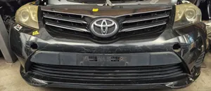 Avensis Nosecute