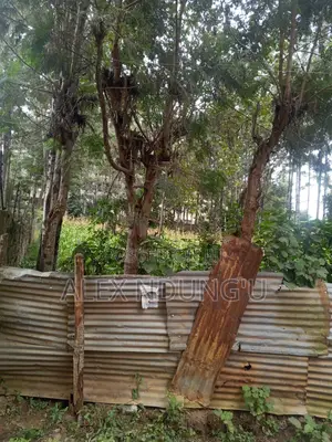 Residential Plot for Sale - Ongata Rongai