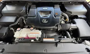 Lexus LX 500d 2022 Gray