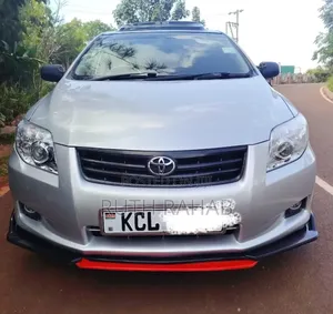 Toyota Axio 2010 Silver