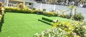 Artificial Grass Carpet 25mm
