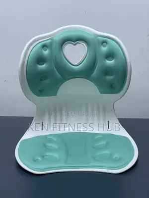 Lumbar Back Support