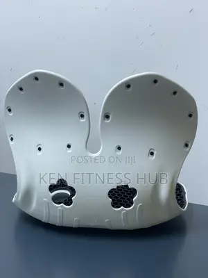 Lumbar Back Support