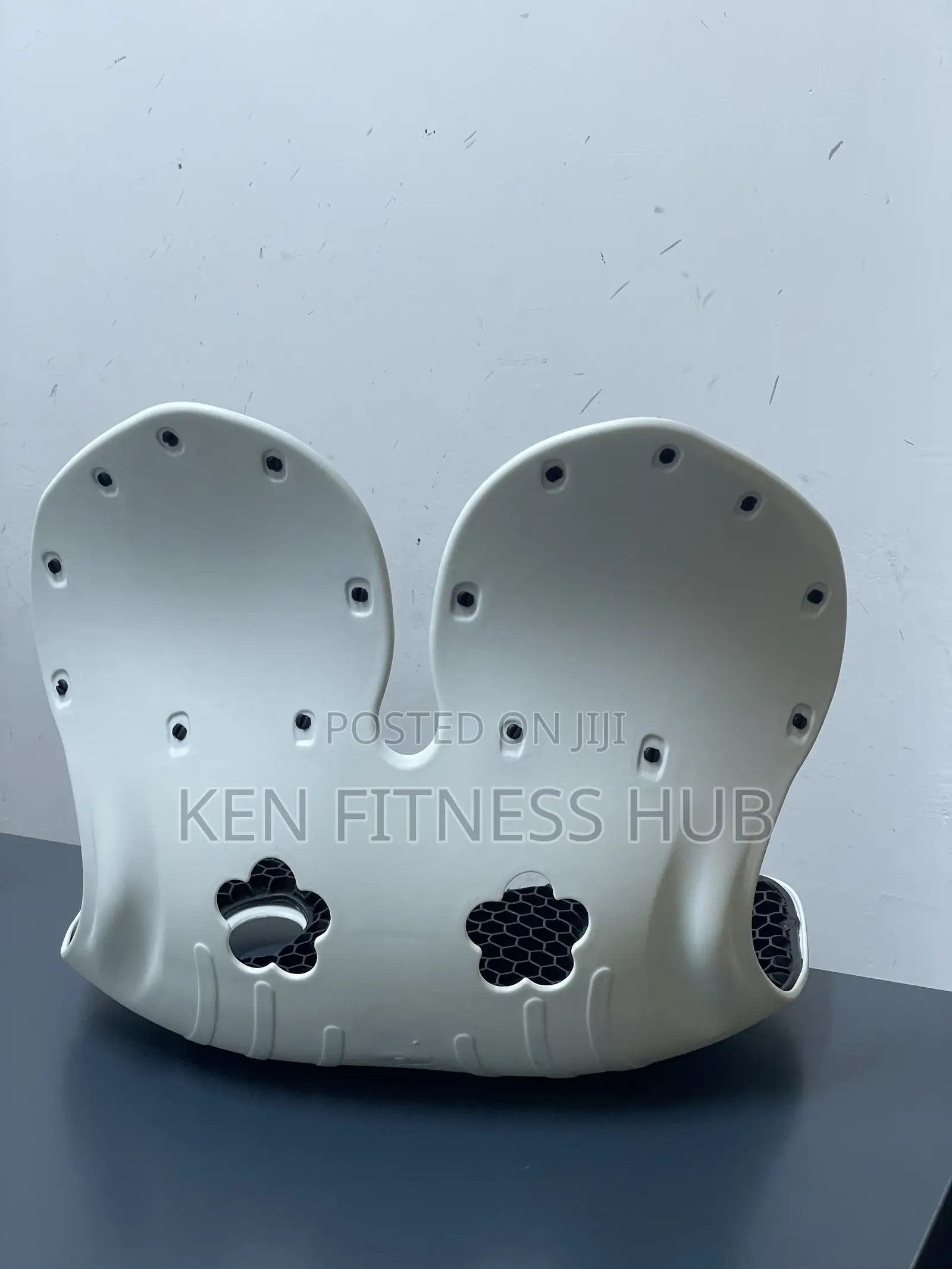 Lumbar Back Support