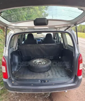 Toyota Probox 2014 Silver