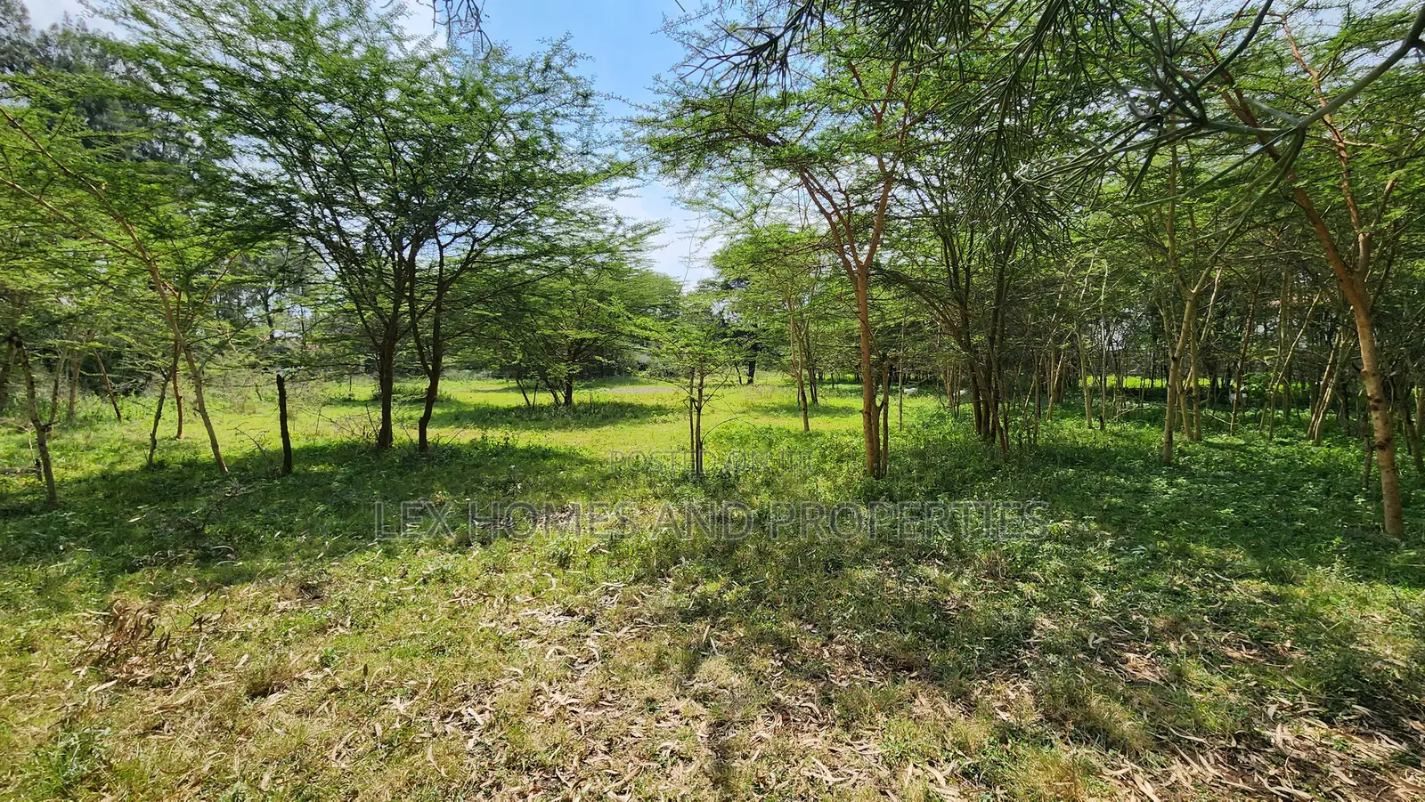 Nkoroi One Acre for Sale 17m