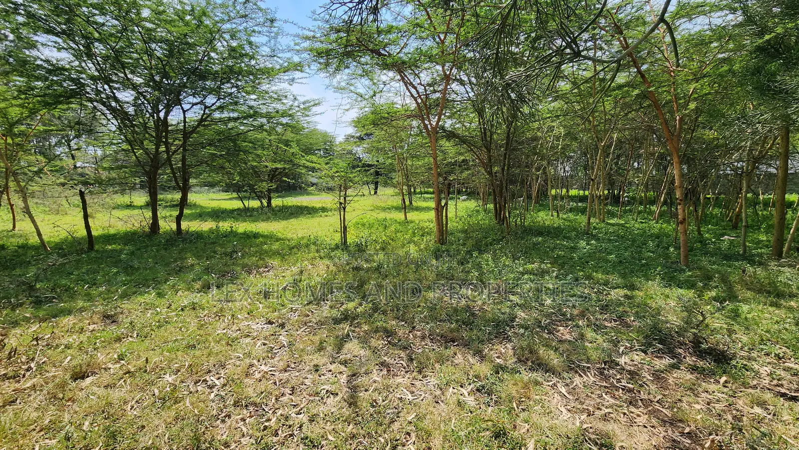 Nkoroi One Acre for Sale 17m