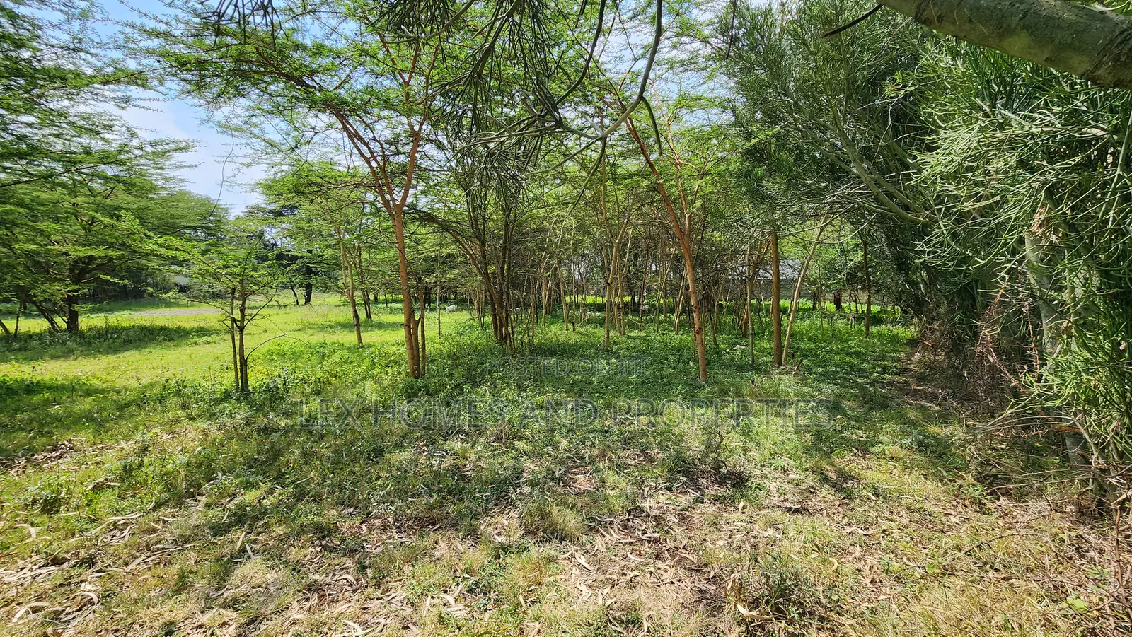 Nkoroi One Acre for Sale 17m