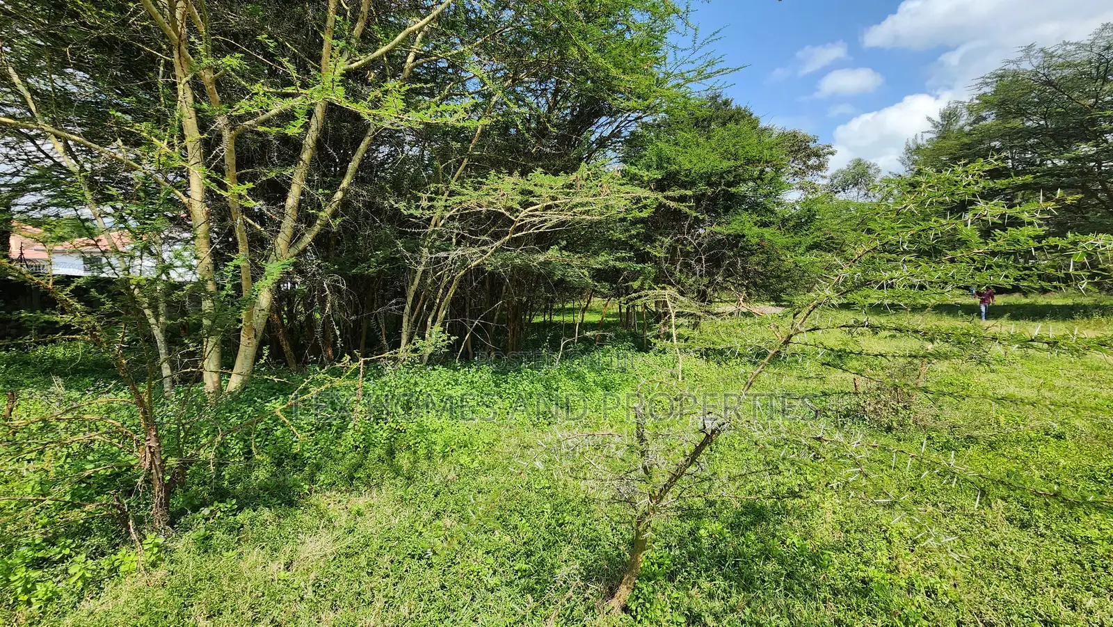 Nkoroi One Acre for Sale 17m