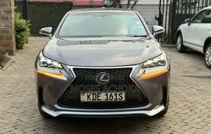Lexus NX 2014 Gray