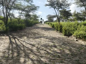 A 3-Acre Gated Estate Ready Project for Sale in Ongata Rongai