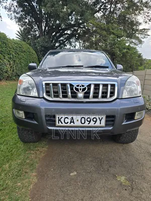 Toyota Land Cruiser 2008 Gray