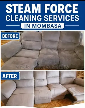 Steam Force Cleaning Services