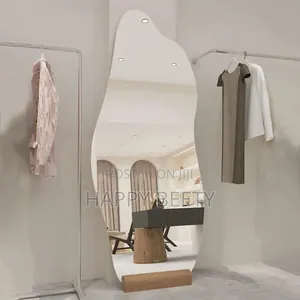 Dolphin Shaped Aclyric Mirror (Unbreakable)