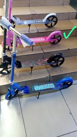 Executive Metallic Scooter