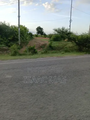 2 Acres for Sale at Malndi Baolala 600m From the Main Road to the Land