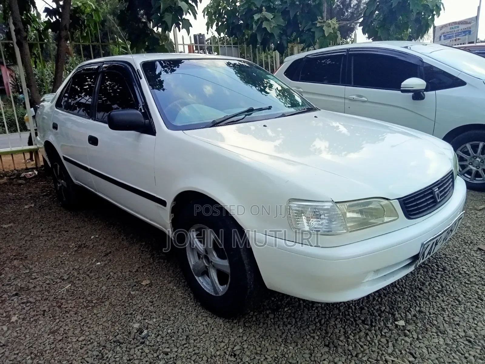 Toyota Corolla 1998 White