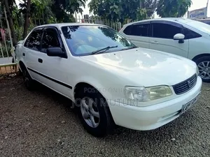 Toyota Corolla 1998 White