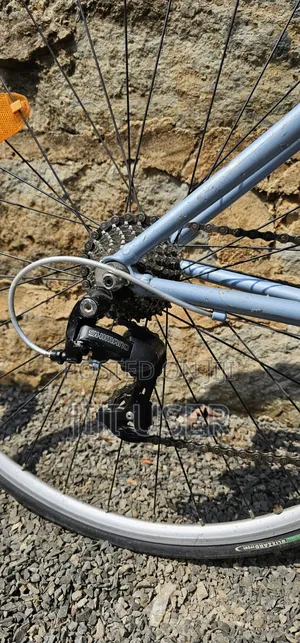 Giant Ocr Roadbike