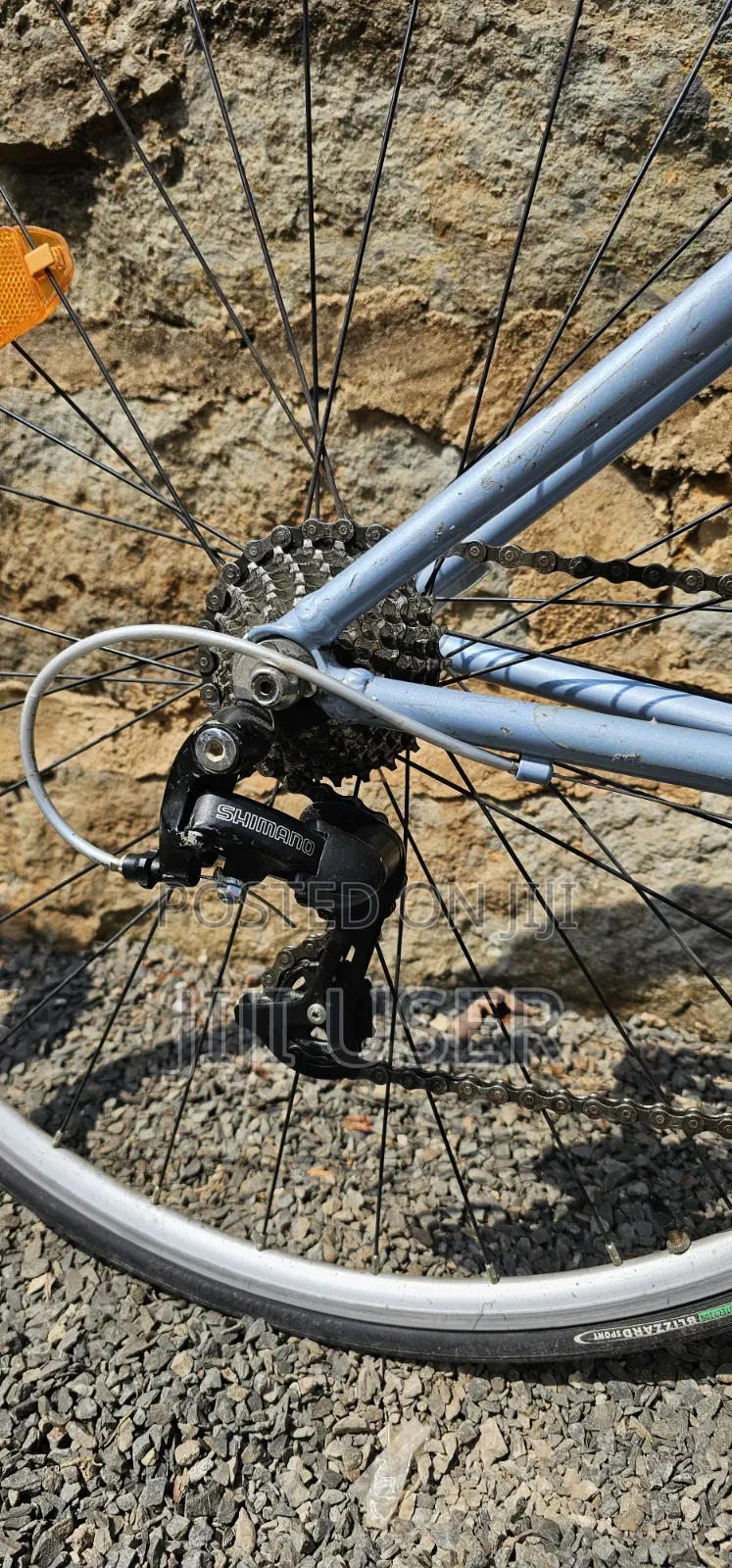 Giant Ocr Roadbike