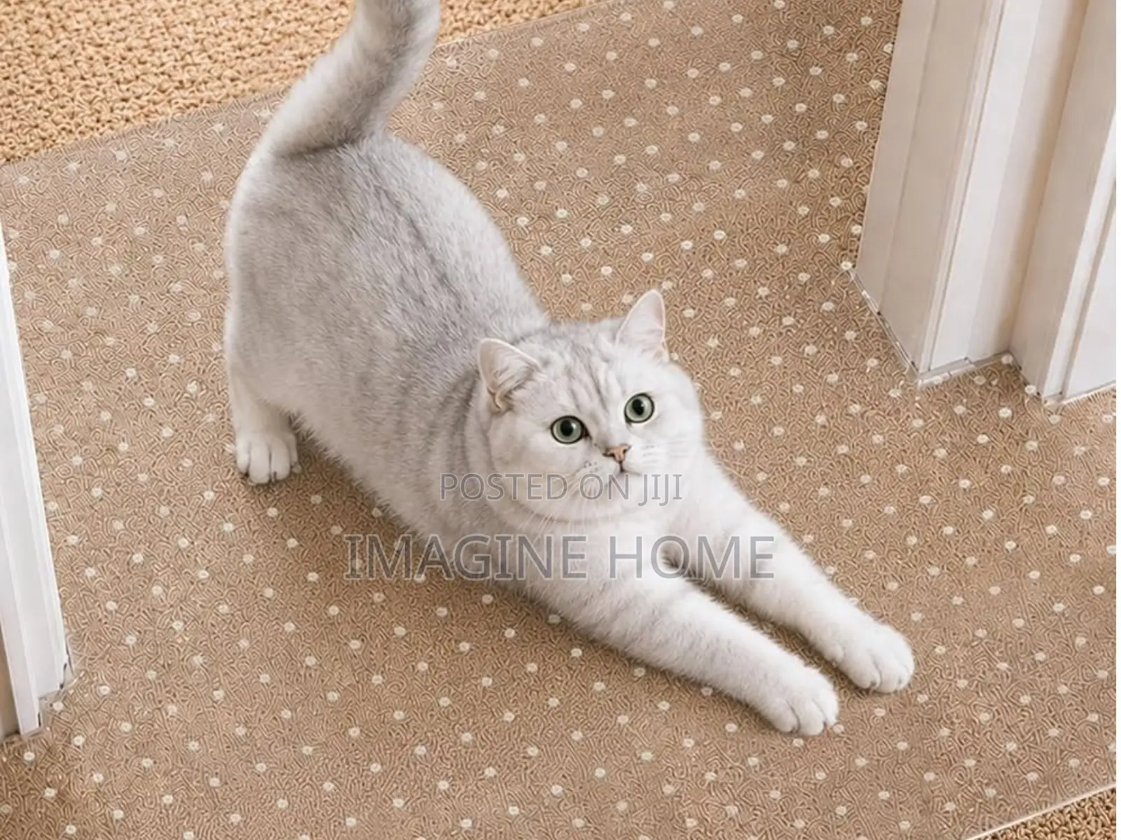 Transparent Carpet Protector