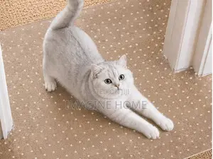 Transparent Carpet Protector