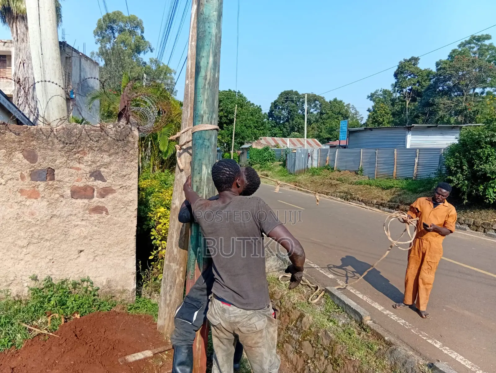 Idc Treated Longpoles