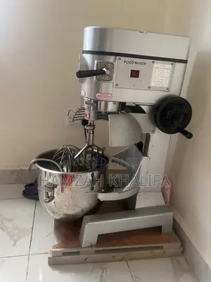 Commercial Dough Mixer 20l Recipe