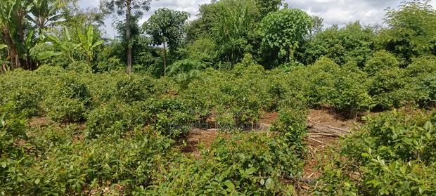 Developed Agricultural Land for Sale