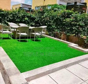 Outdoor Turf Grass