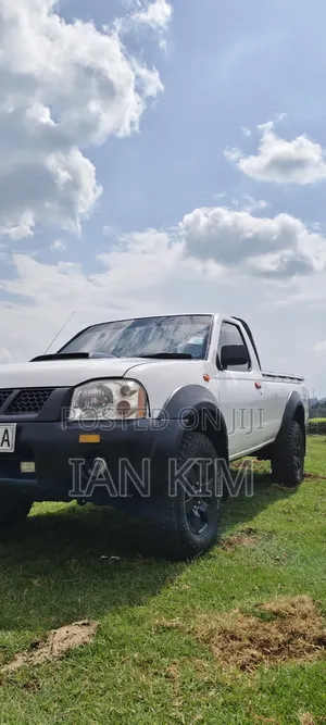 Nissan Hardbody 2015 White