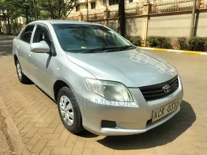 Toyota Axio 2010 Silver