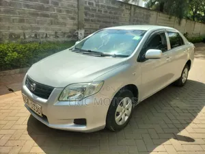 Toyota Axio 2010 Silver