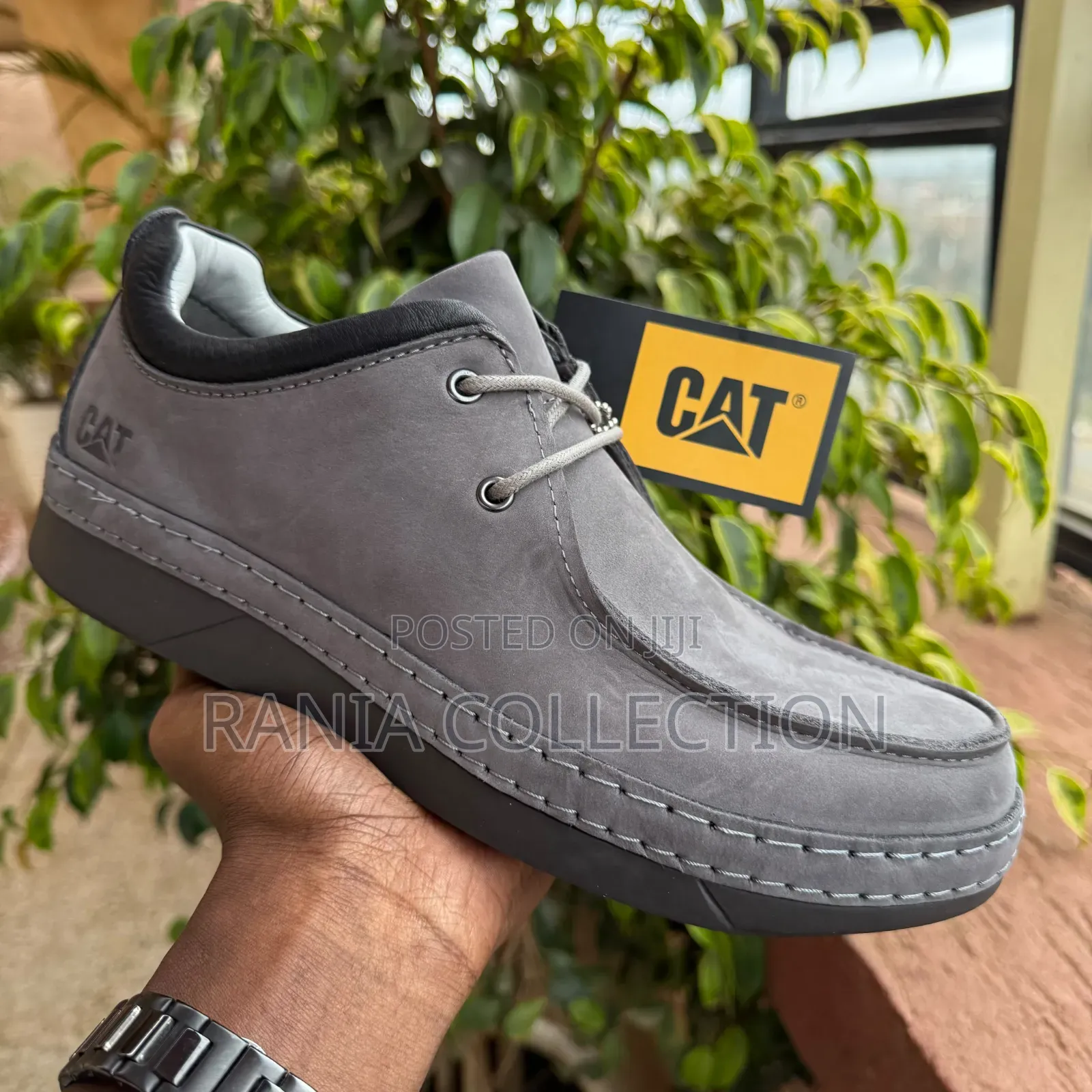 Lowcut Caterpillar Mens Shoes