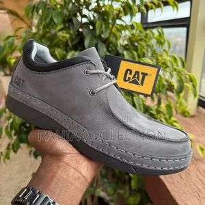 Lowcut Caterpillar Mens Shoes