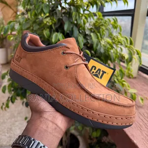 Lowcut Caterpillar Mens Shoes
