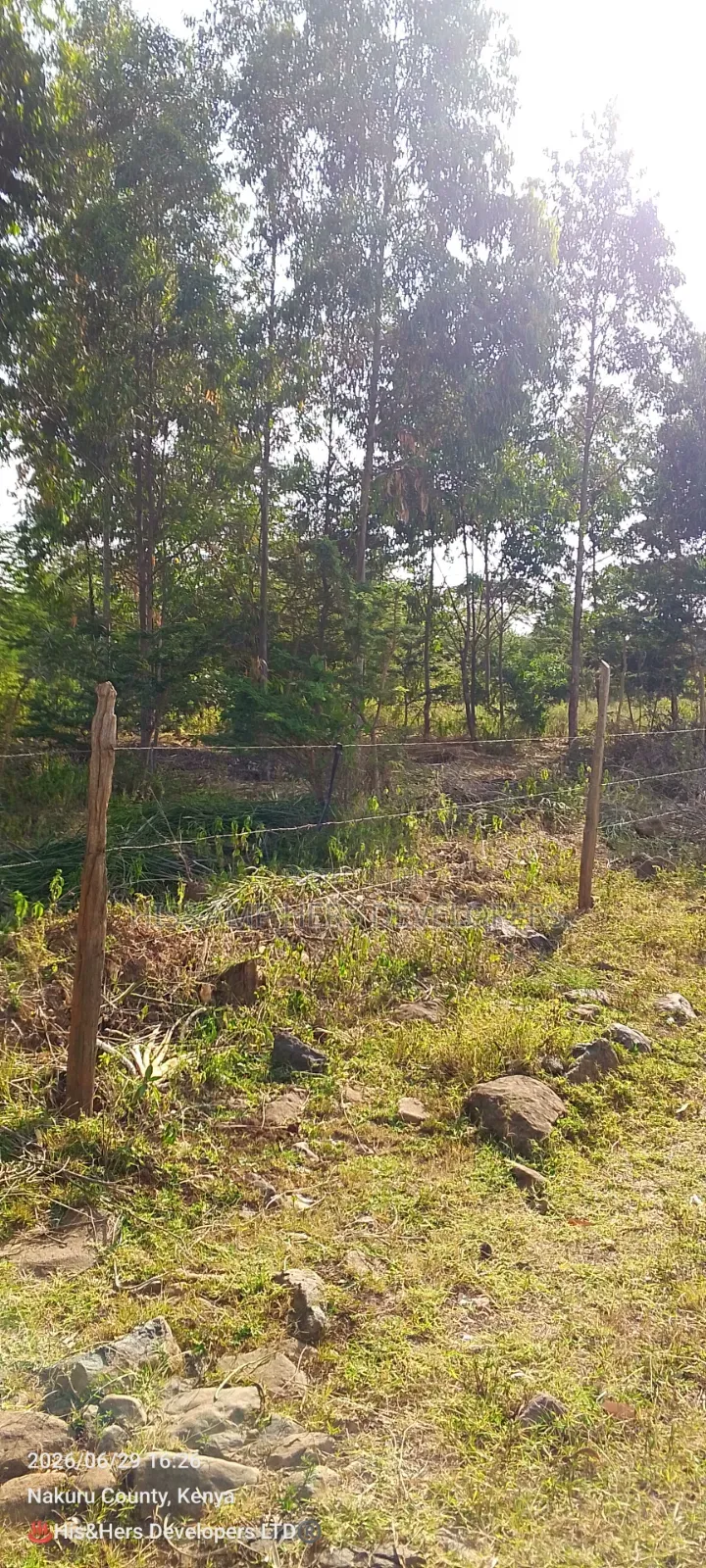 4 Rooms Built on 2 Acres in Lower