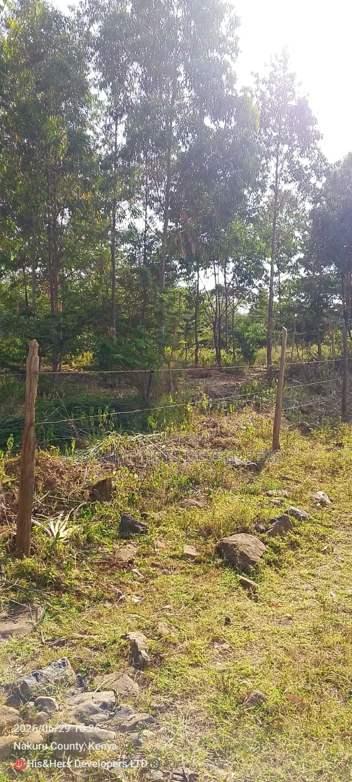 4 Rooms Built on 2 Acres in Lower