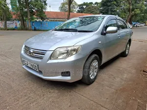 Toyota Axio 2010 Silver