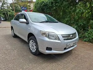 Toyota Axio 2010 Silver