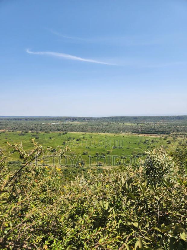 4 Acres Ngong-Kimuka (Ciff Frontage) - thumbnail 3