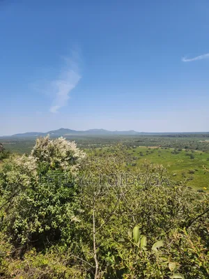 4 Acres Ngong-Kimuka (Ciff Frontage)