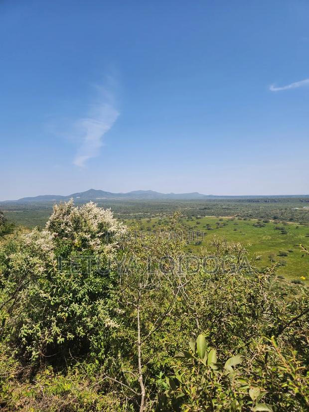 4 Acres Ngong-Kimuka (Ciff Frontage) - thumbnail 5