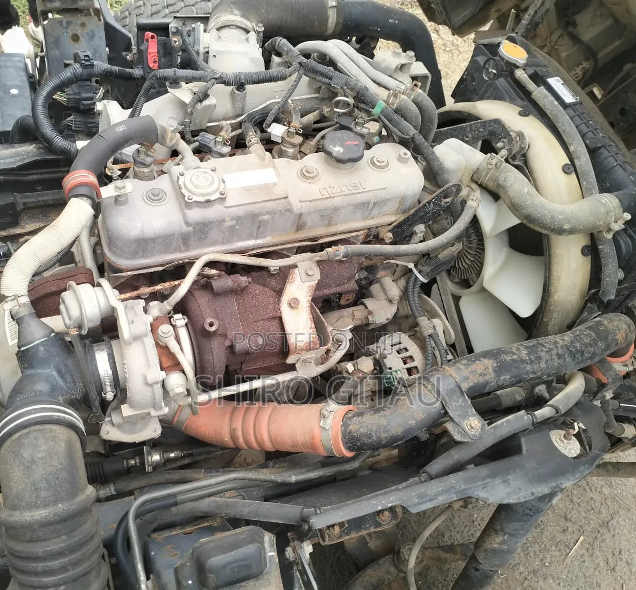 Isuzu NLR Local