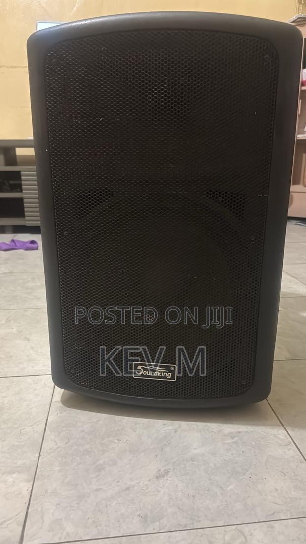 Sound King Speaker Fp 212/1 12-Inch Active 2-Way Professional - thumbnail 2