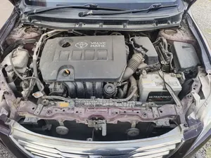 Toyota Premio 2009 Brown