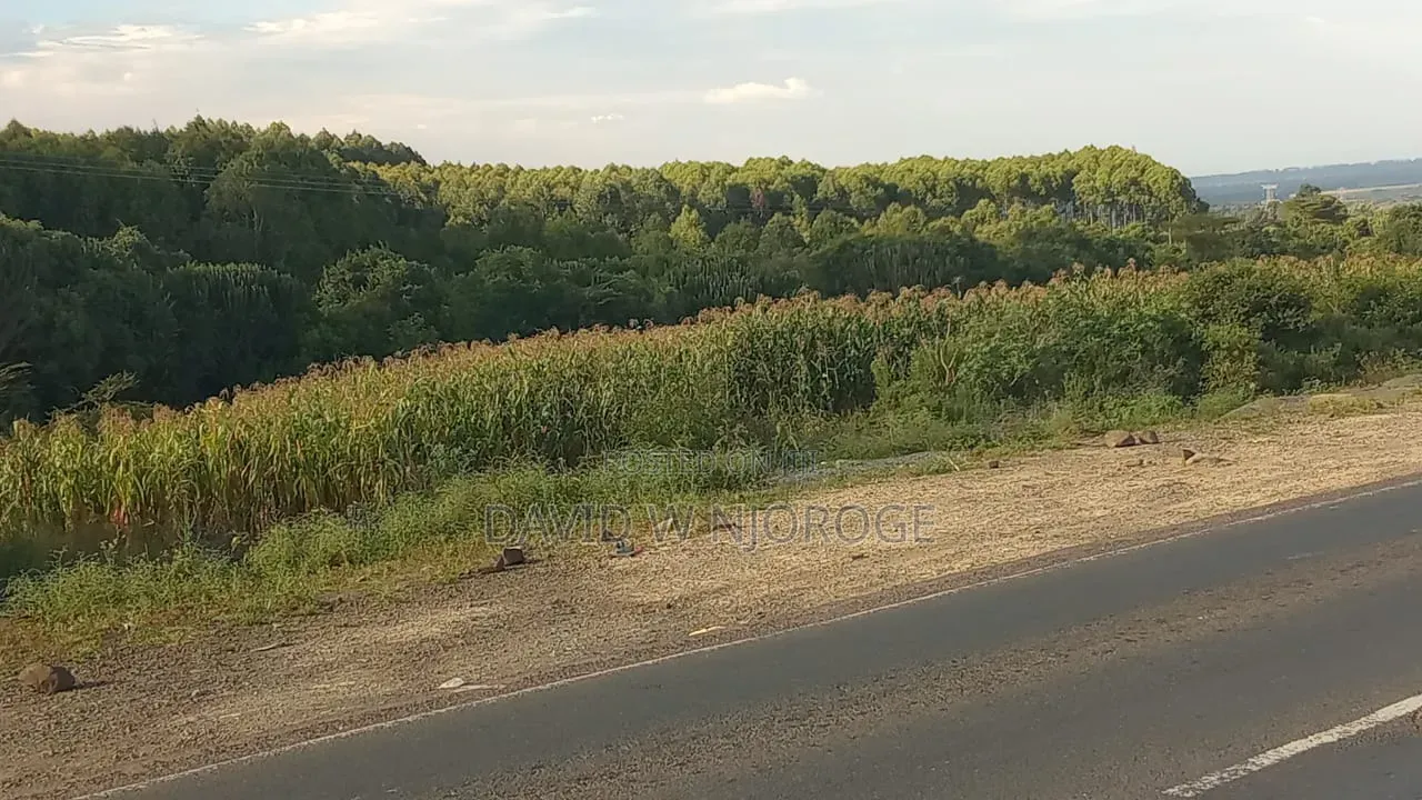 Prime 20 Acres.