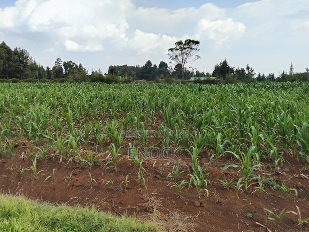 2 Acre Land for Sale With 3bdr Sq in Outspan, Eldoret - thumbnail 5