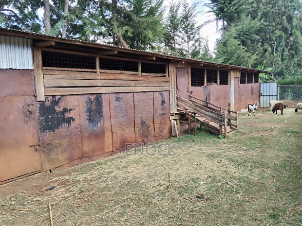 2 Acre Land for Sale With 3bdr Sq in Outspan, Eldoret - thumbnail 6