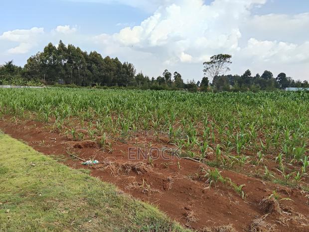 2 Acre Land for Sale With 3bdr Sq in Outspan, Eldoret - thumbnail 8